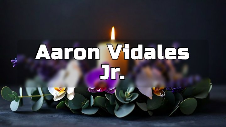 Aaron Vidales Jr., Joliet, Illinois