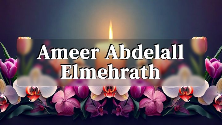 Ameer Abdelall Elmehrath, Raleigh, North Carolina