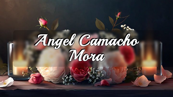 Angel Camacho Mora, Franklin Park, Illinois