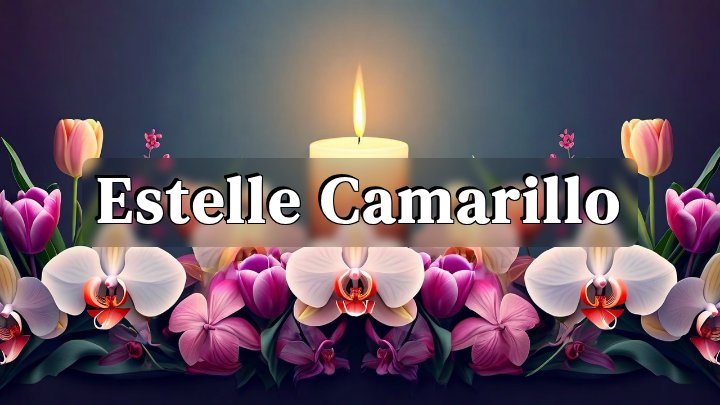 Estelle Camarillo, Houston, Texas