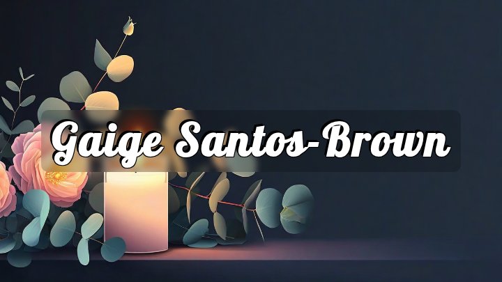 Gaige Santos-Brown, 4200 block of 15th Avenue South, St. Petersburg
