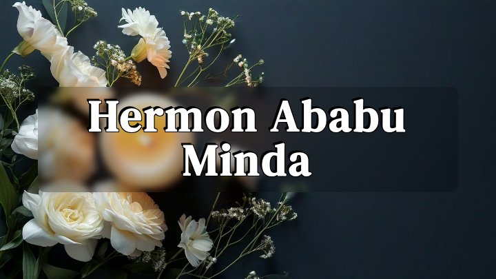 Hermon Ababu Minda, South Bend, Indiana