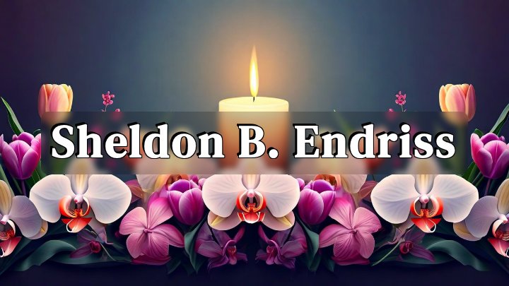Sheldon B. Endriss
